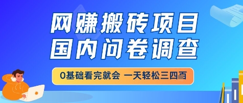 网创搬砖项目，国内问卷调查，小白轻松上手，一天三四张的也不难，干就完了【揭秘】-项目网站