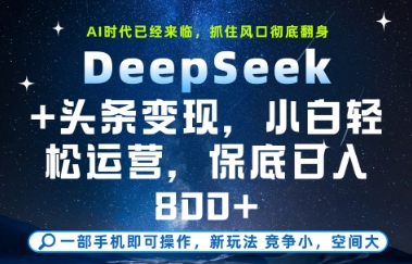 DeepSeek+头条变现，保姆级教学，小白轻松上手，日入8张+【揭秘】-项目网站