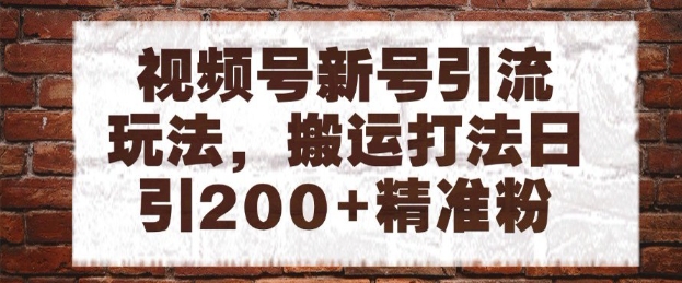 视频号新号引流玩法，搬运打法日引200+精准粉，可矩阵放大【揭秘】-项目网站