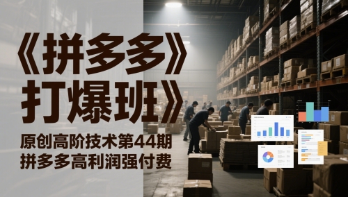 《拼多多打爆班》原创高阶技术第44期，拼多多高利润强付费-项目网站