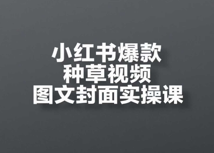 小红书爆款种草视频图文封面实操课，​开店、选品、引流、变现全流程-项目网站