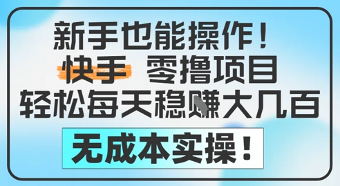 新手也能操作，快手零撸挣米，轻松每天挣2-5张，完全无成本-项目网站