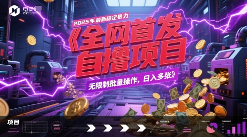 全网首发，2025年最新稳定暴力全自动自撸项目，无限制批量操作，日入多张【揭秘】-项目网站