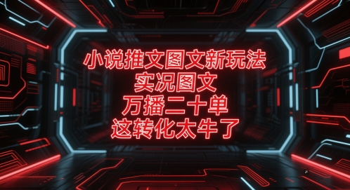 小说推文图文新玩法，实况图文，万播二十单，这转化太牛了！-项目网站