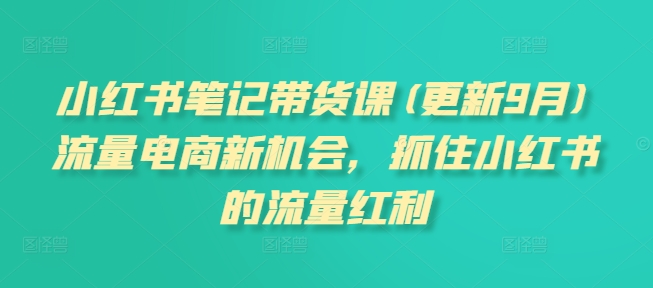 小红书笔记带货课(更新25年5月)流量电商新机会，抓住小红书的流量红利-项目网站