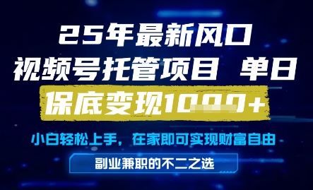 25年最新风口，视频号托管项目，单日保底变现1k+，手把手教学【揭秘】-项目网站