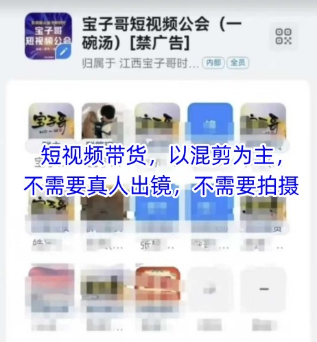 宝子哥头部团队短视频带货，以混剪为主，不需要真人出镜，不需要拍摄【更新】-项目网站
