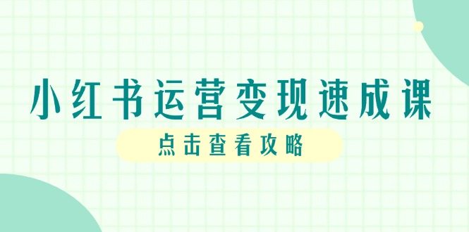 小红书运营变现速成课，账号搭建到暴力起号，个人IP全流程指南-项目网站