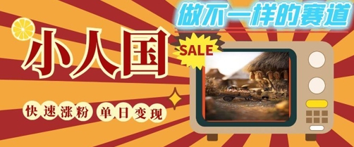 DeepSeek+绘图+视频制作小人国微观视频，小白轻轻松松上手，条条爆款，条条变现，单日就能收益-项目网站