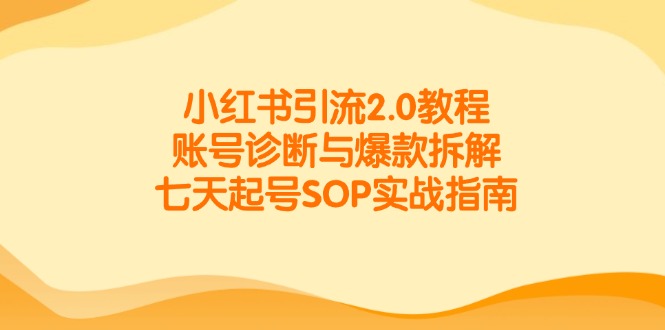 小红书引流2.0教程，账号诊断与爆款拆解，七天起号SOP实战指南-项目网站