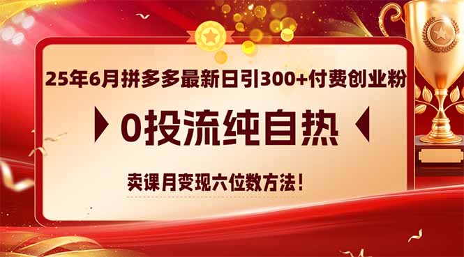 25年6月拼多多最新日引300+付费创业粉，0投流纯自热 卖课月变现六位数方法-项目网站