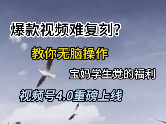 视频号4.0重磅上线，爆款视频难复刻？教你无脑操作宝妈学生党的福利【揭秘】-项目网站