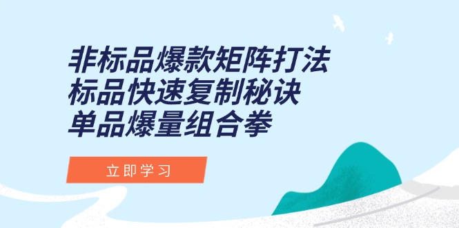 非标品爆款矩阵打法，标品快速复制秘诀，单品爆量组合拳-项目网站