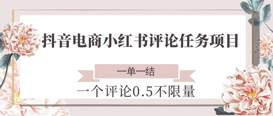 抖音电商小红书评论任务项目，一个评论0.5，一单一结 不限量-项目网站