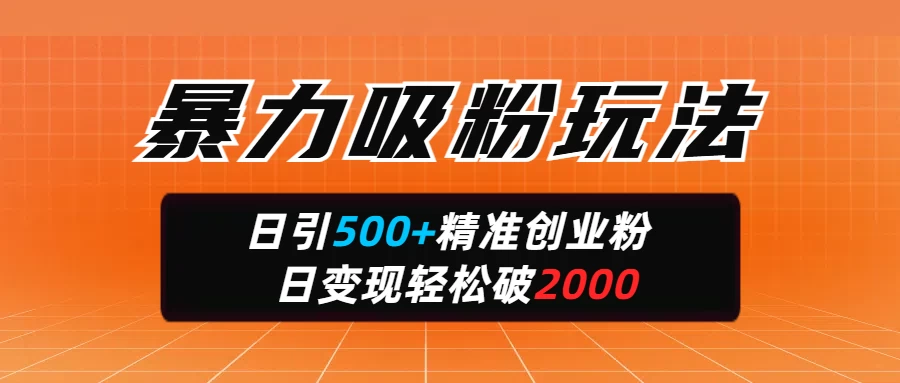 暴力吸粉玩法，日引500+精准创业粉，日变现轻松破2000-项目网站