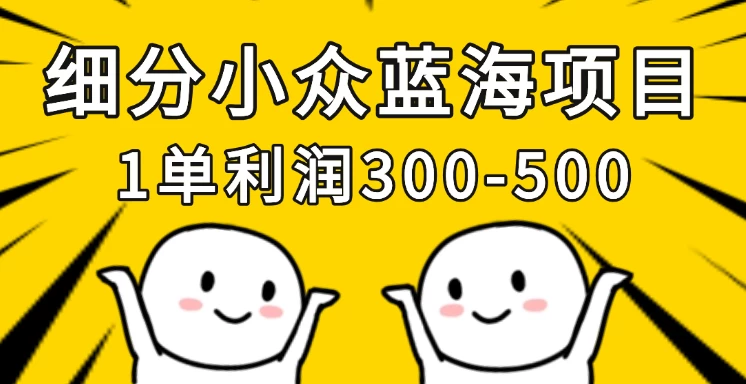 细分小众蓝海项目，一单利润300-500，每月收入稳定4w+-项目网站