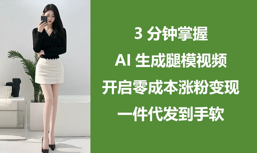 3分钟掌握AI生成腿模视频，开启0成本涨粉变现，一件代发到手软-项目网站